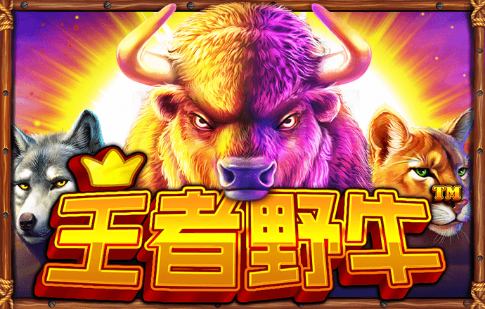 k1体育app下载APP下载